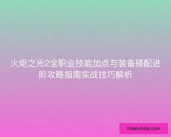 火炬之光2全职业技能加点与装备搭配进阶攻略指南实战技巧解析